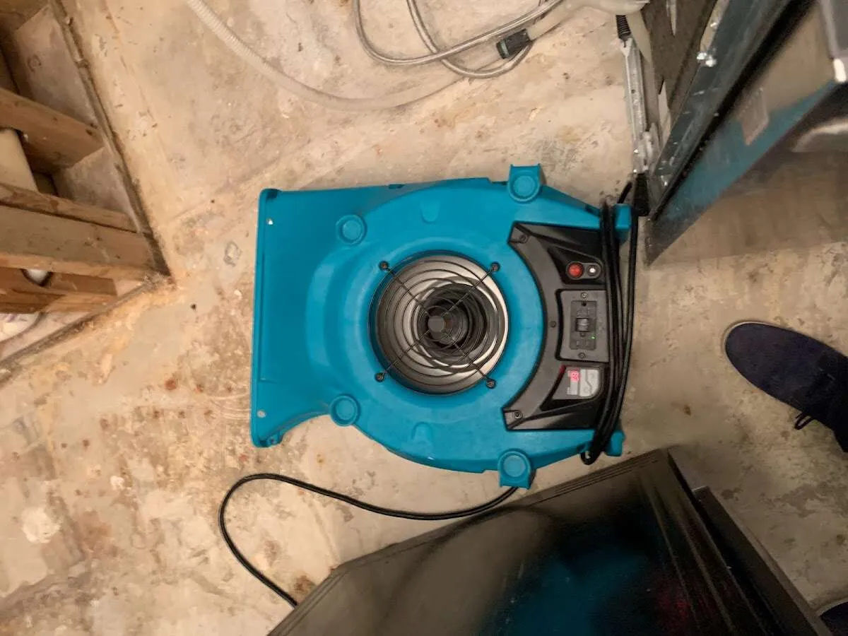 Air mover drying equipment for Mold Remediation & Removal in Hampstead